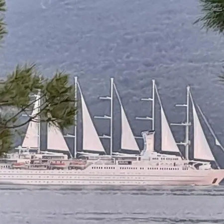 Tomi & Ivana トロギール