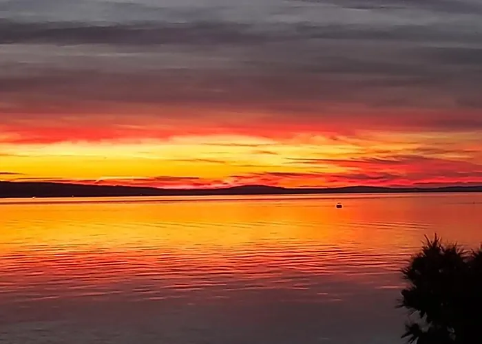 Tomi & Ivana * トロギール